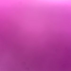 Meet your Posher, Lilly